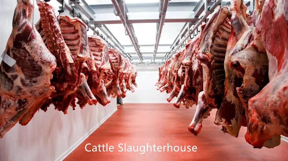 Henger Slaughtering Equipment Cattle Slaughterhouse Equipment for Pig Sheep