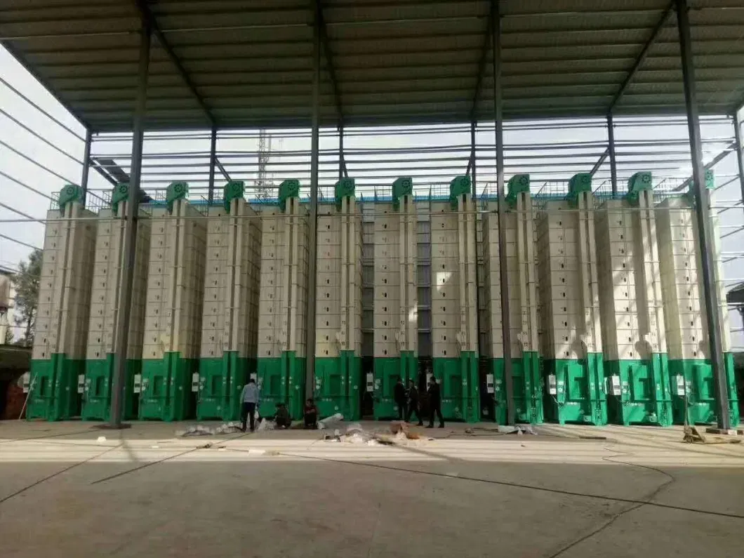 5h-12 Batch Rice Grain Drying Processing Equipment Drying