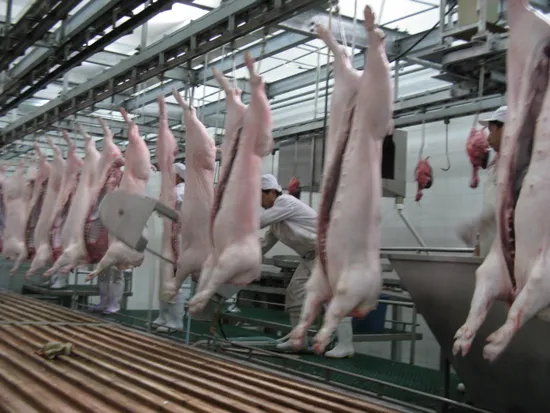 Pig Cattle Sheep Slaughter Half-Cutting Saw Abattoir Equipment