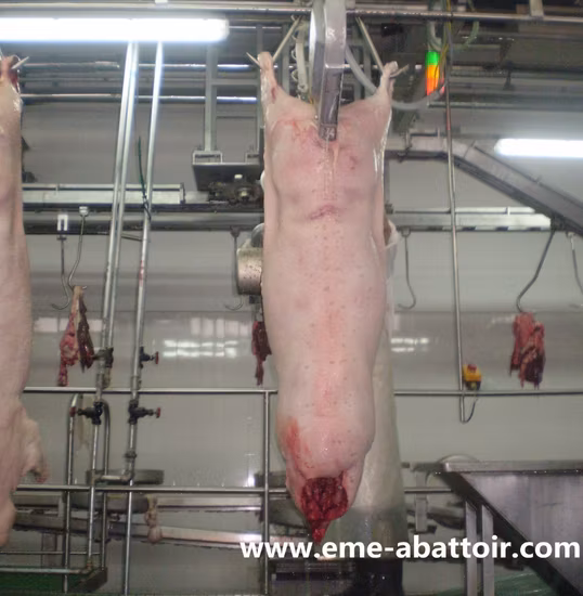 Pig Cattle Sheep Slaughter Half-Cutting Saw Abattoir Equipment
