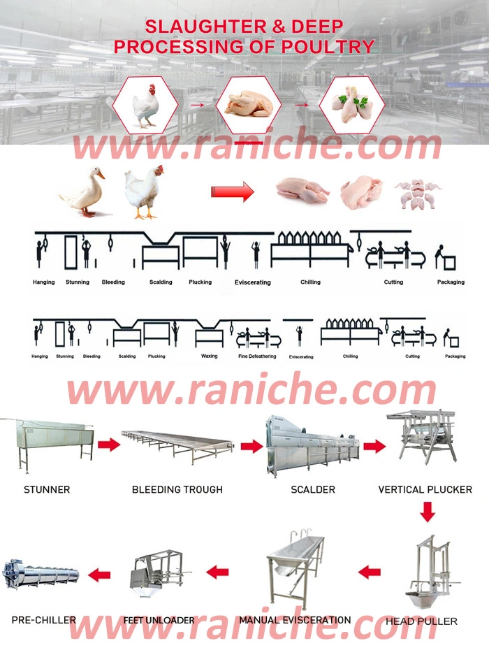 Halal Chicken Poultry Slaughtering Equipment for Poultry Processing Plant