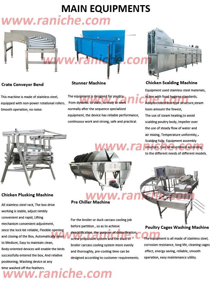 Halal Chicken Poultry Slaughtering Equipment for Poultry Processing Plant