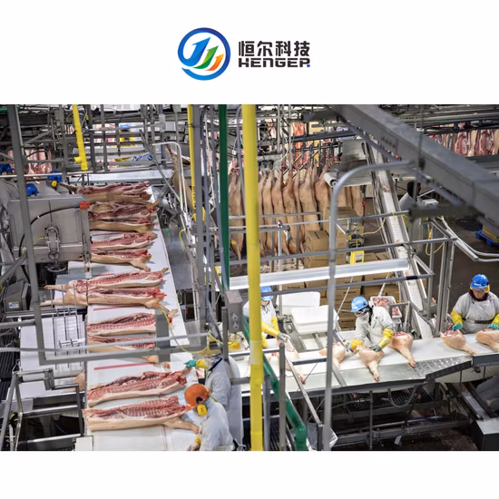 Halal-Schlachtausrüstung für Schweine, Rinder, Schafe und Geflügel