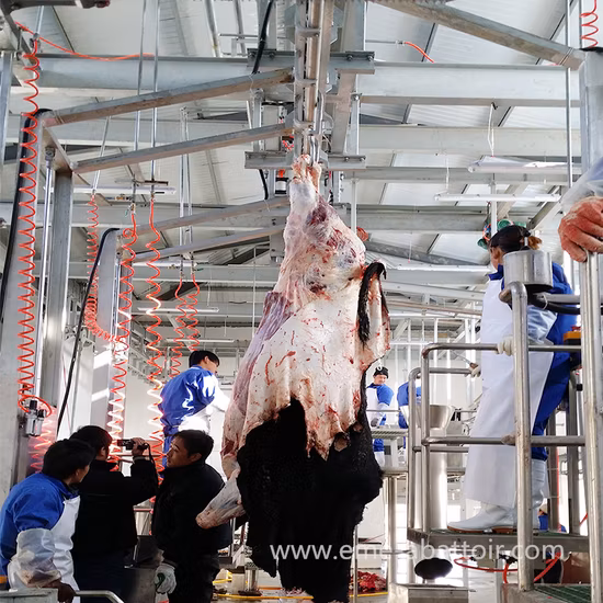 Qh300h Elektrischer Schlachtfleischwolf, Schneidemaschine, Verarbeitung, Schneidlinie, Bauernhof, Geflügel, Säge, Huhn, Fisch, Rinder, Schweine, Schlachtmaschine, Schlachthofausrüstung