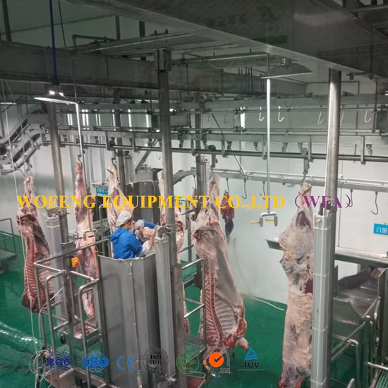 Rindfleischverarbeitungsmaschine, Rinder, Kühe, Schafe, Schlachtgeräte