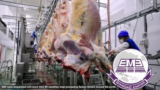 Rindfleischverarbeitungsmaschine, Rinder, Kühe, Schlachtung, Schlachthof, Ausrüstung