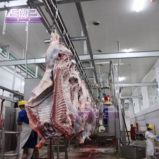 Schlachthofverarbeitung Kuhschlachtmaschine Rinderritual Halal-Tötungsbox Schlachthofausrüstung